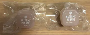 아이나나 린라이 미나미