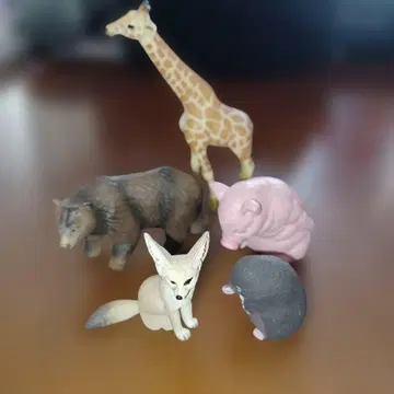 동물 피규어 5체 세트