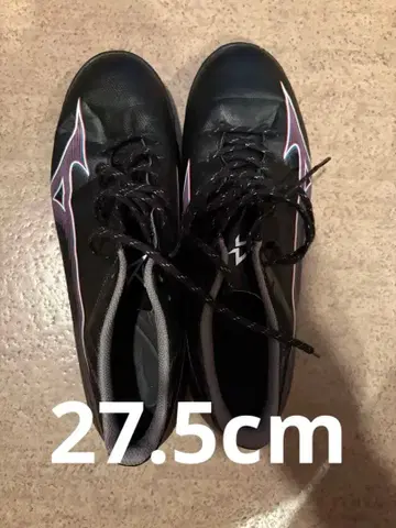 미즈노 알파 트레이닝 슈즈