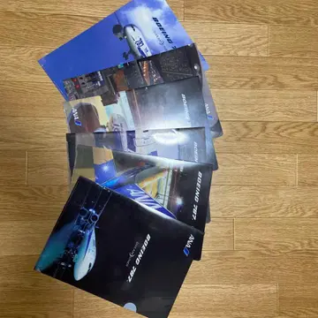 ANA 클리어 파일 타월