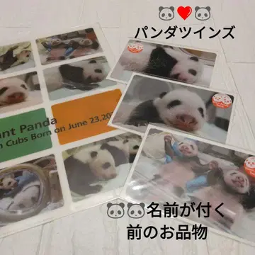 우에노 동물원 팬더 트윈스 33일령 아직 이름 미정