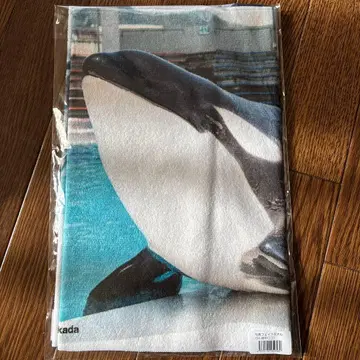 카모가와 씨월드 55주년 범고래 타월 새상품 미사용