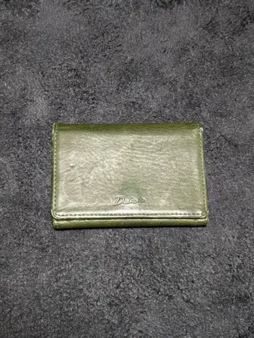 다코타 라르고드 케이스 그린