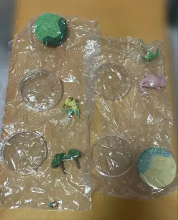 테라리움 컬렉션 리프아 야돈 포켓몬