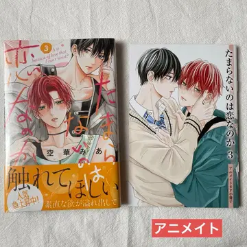 참을 수 없는 것은 사랑인가 3 쿠우게 미아 애니메이트 소책자