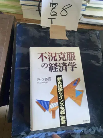 불황 극복의 경제학 [신신고전파 케인스주의] 선언