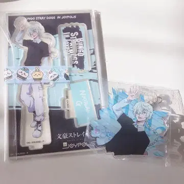 니콜라이 조이폴리스 세트