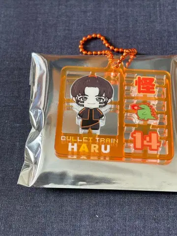 초특급 REAL? 랜덤 플라스틱 모델풍 키링 하루