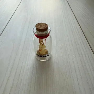 작은 병에 담긴 나라 사슴 목걸이