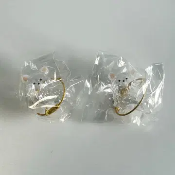 우리 집 강아지 털뭉치 치와와