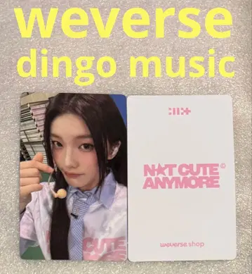 ILLIT NOT CUTE ANYMORE dingo 이로하