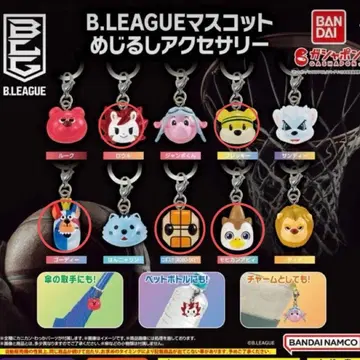 B리그 메지루시 액세서리 세트