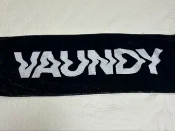 Vaundy 타월