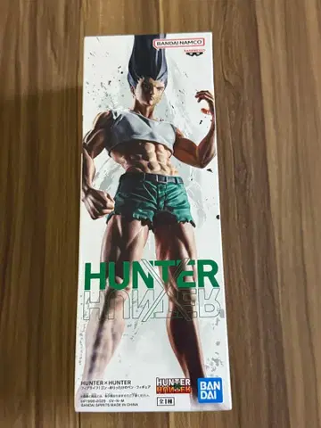 HUNTER X HUNTER 곤 프리크스 피규어