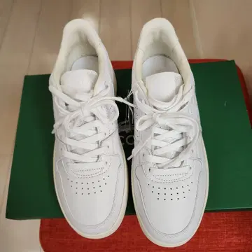 LACOSTE 화이트 스니커즈 25cm 새상품