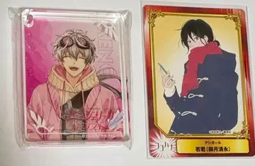 안젤리크 루미나라이즈 제노 코롯타 아시걸 SCF