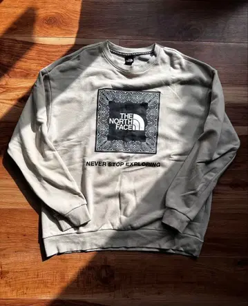 THE NORTH FACE 베이지 맨투맨9