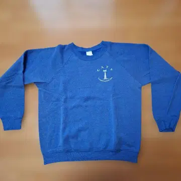 미국제 구제 의류 맨투맨 프룻 오브 더 룸