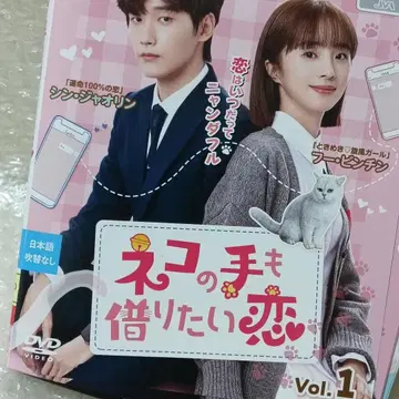 고양이도 빌리고 싶은 사랑 DVD 중국 드라마 전권 신 자오린 후 핑친