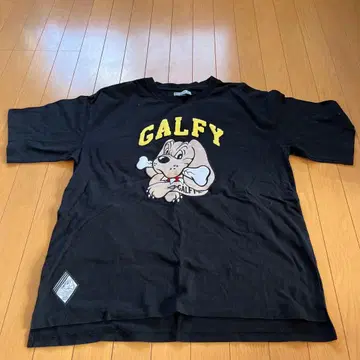 GALFY 셋업