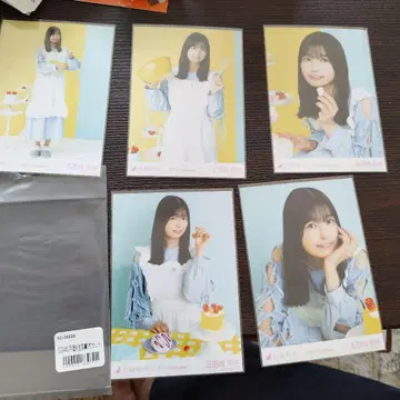 이오키 마오 2024 발렌타인 5장 세트