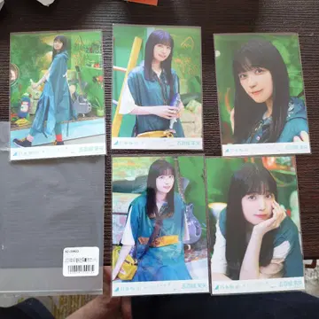 이오키 마오 오토리사마 텐고쿠 5장 세트