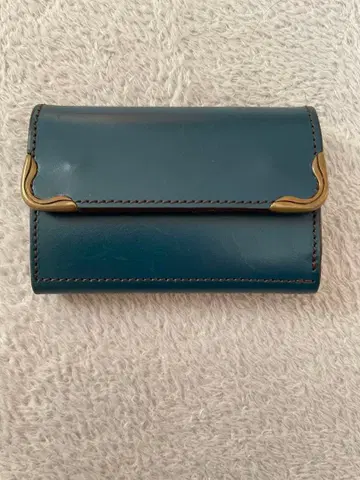 이케노하타 긴카텐 키케이스