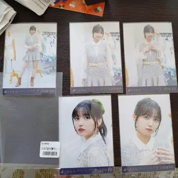 이오키 마오 찬스는 평등 5장 세트