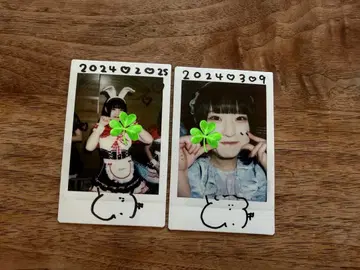 라이카이 토이 폴라로이드 브로마이드 세트