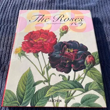 장미 : 전도판 The roses