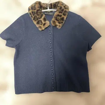 ZARA 네이비 반팔 니트 레오파드 옷깃 이번 시즌 상품