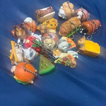 개, 음식 가챠가챠