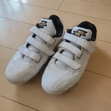 야구 스파이크 화이트 SSK 22 또는 22.5cm