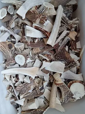 사슴 뿔 자투리 20kg 에조사슴 뿔