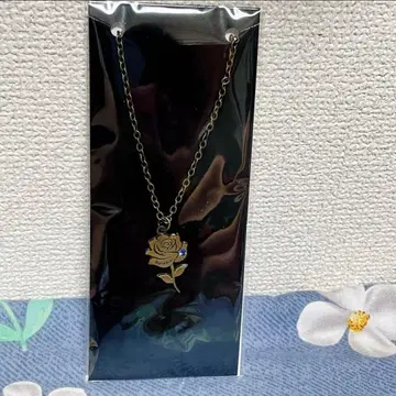 BanG Dream! 뱅드림 앤티크 목걸이 Roselia4