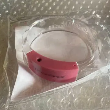 하시모토 마사오 라이트 뱅글