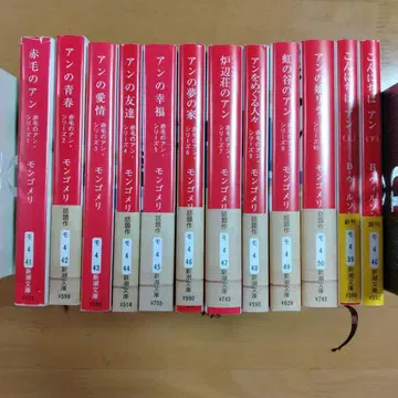 앤 시리즈 전 12권 세트 몽고메리