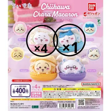 치이카와 (먼작귀) Chara Macaron