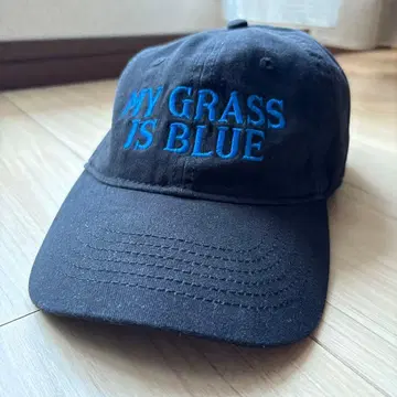 MY GRASS IS BLUE 블랙 캡