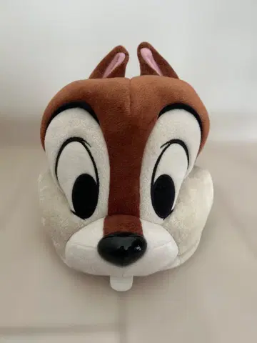 디즈니 팬캡 칩