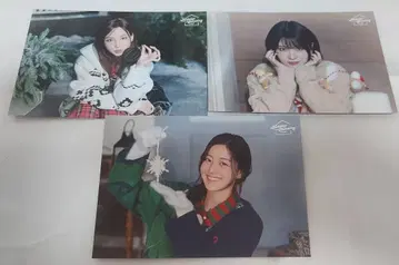 TWICE 2025 팝업 랜덤 포토카드 세트