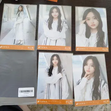 이노우에 와 네이블 오렌지 5장 세트