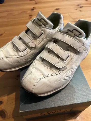 SSK 트레이닝 슈즈 25.5cm