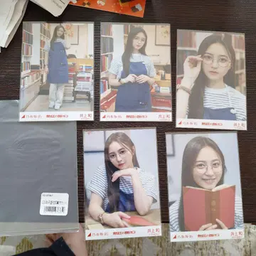 이노우에 카즈 열광의 토로 5매 세트