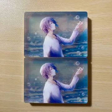 프로세카 카미시로 루이 노블 아트