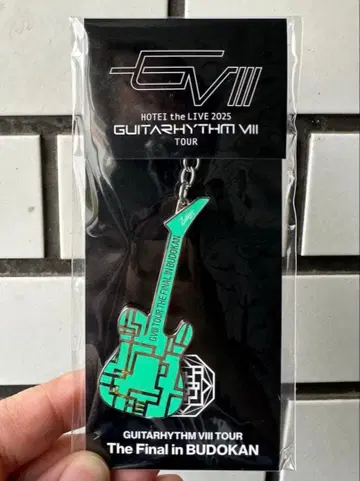 Guitarhythm VIII 메탈 키링 그린 무도관