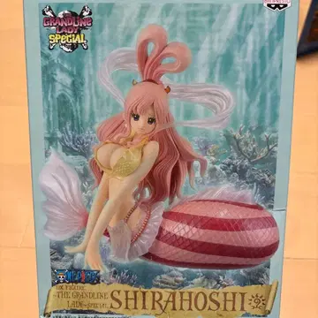 SHIRAHOSHI 피규어 2체