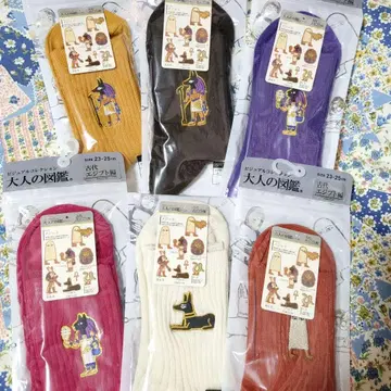 어른의 도감 이집트 편 양말 6켤레 세트