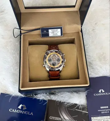 시티즌 컴파노라 코가레코 스다쿠 한정판 모델 새상품급