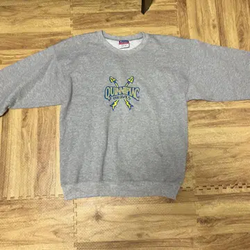 Champion Quinnipiac Braves 맨투맨 M